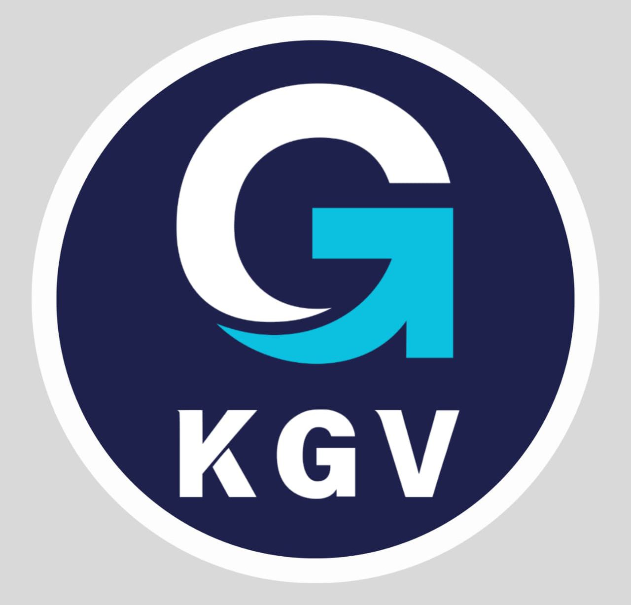 KG Vision Business Group